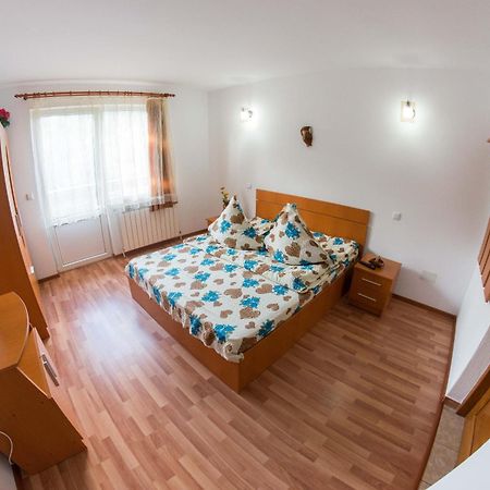 Casa Andreea Hotel Sucevita Bilik gambar