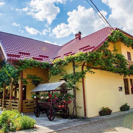 Casa Andreea Hotel Sucevita Luaran gambar