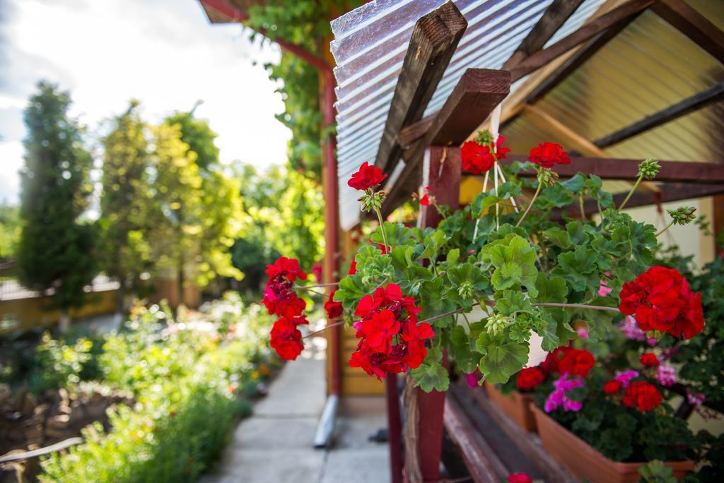 Casa Andreea Hotel Sucevita Luaran gambar