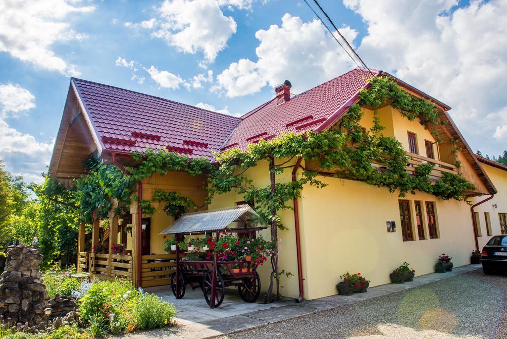 Casa Andreea Hotel Sucevita Luaran gambar